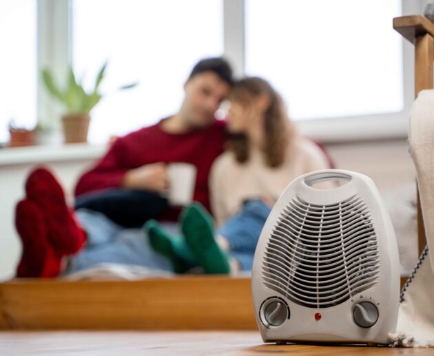 Portable Winter Heaters For Home: Worthy, Affordable And Effective Options
